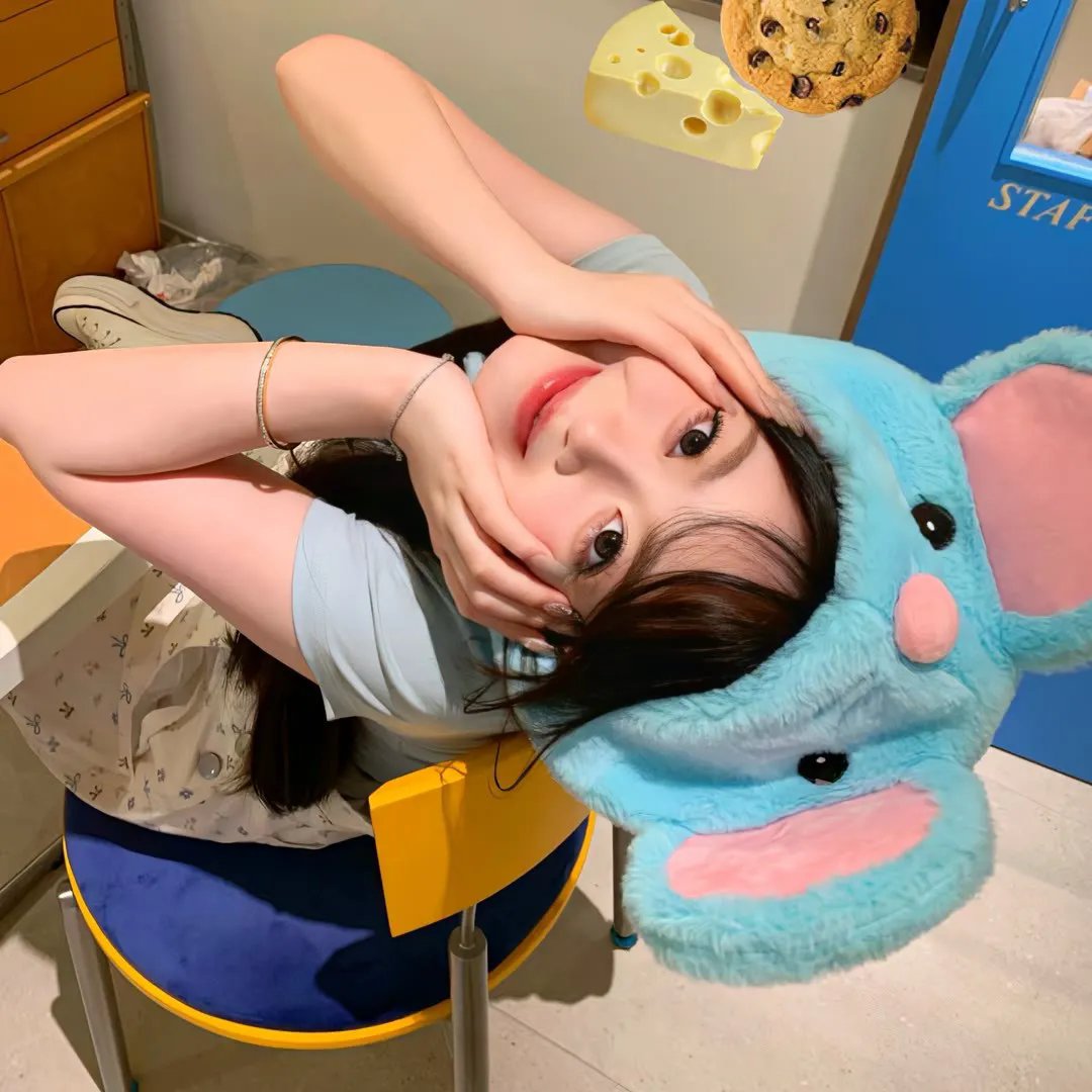爱丽丝海上漫游